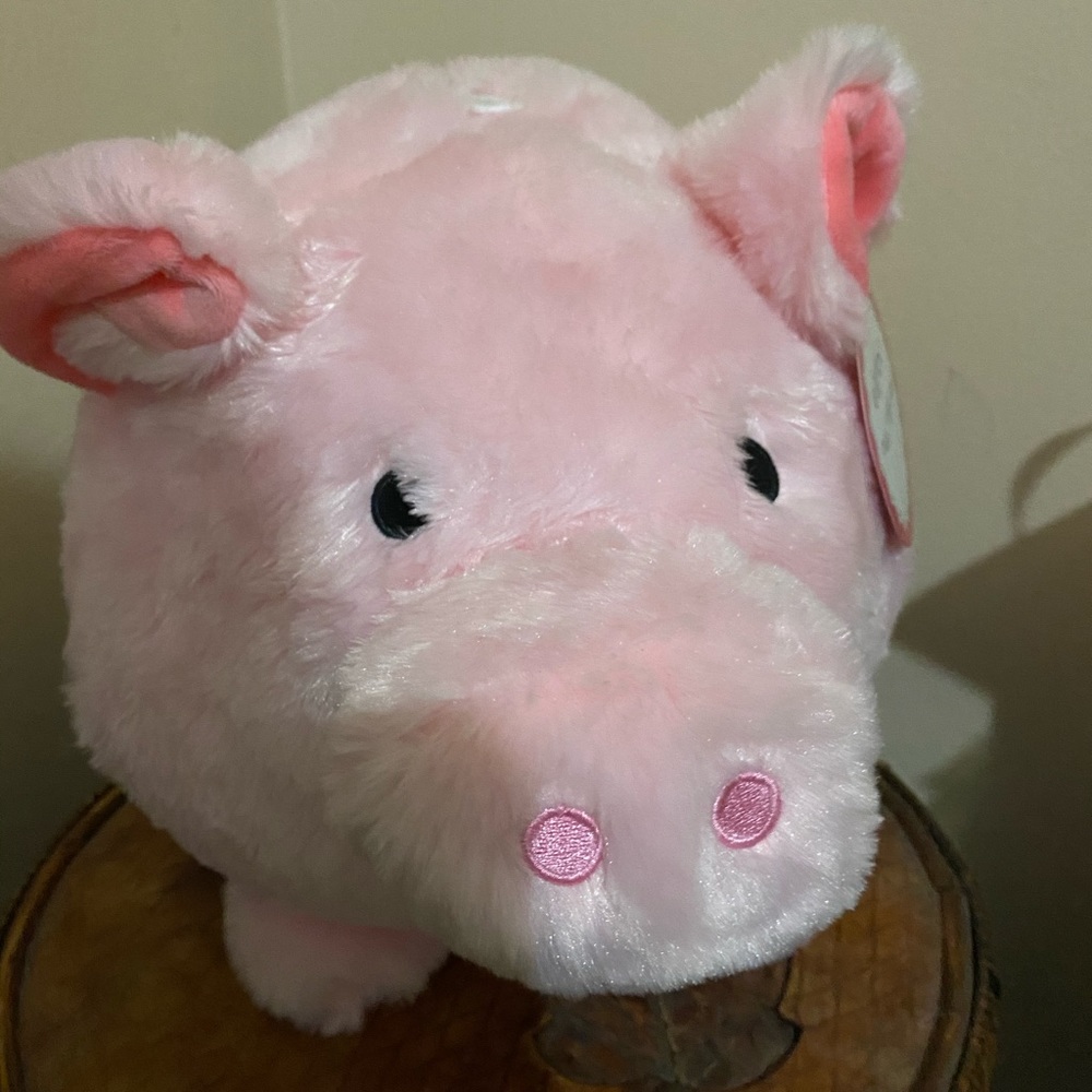 Giant pig bank coins